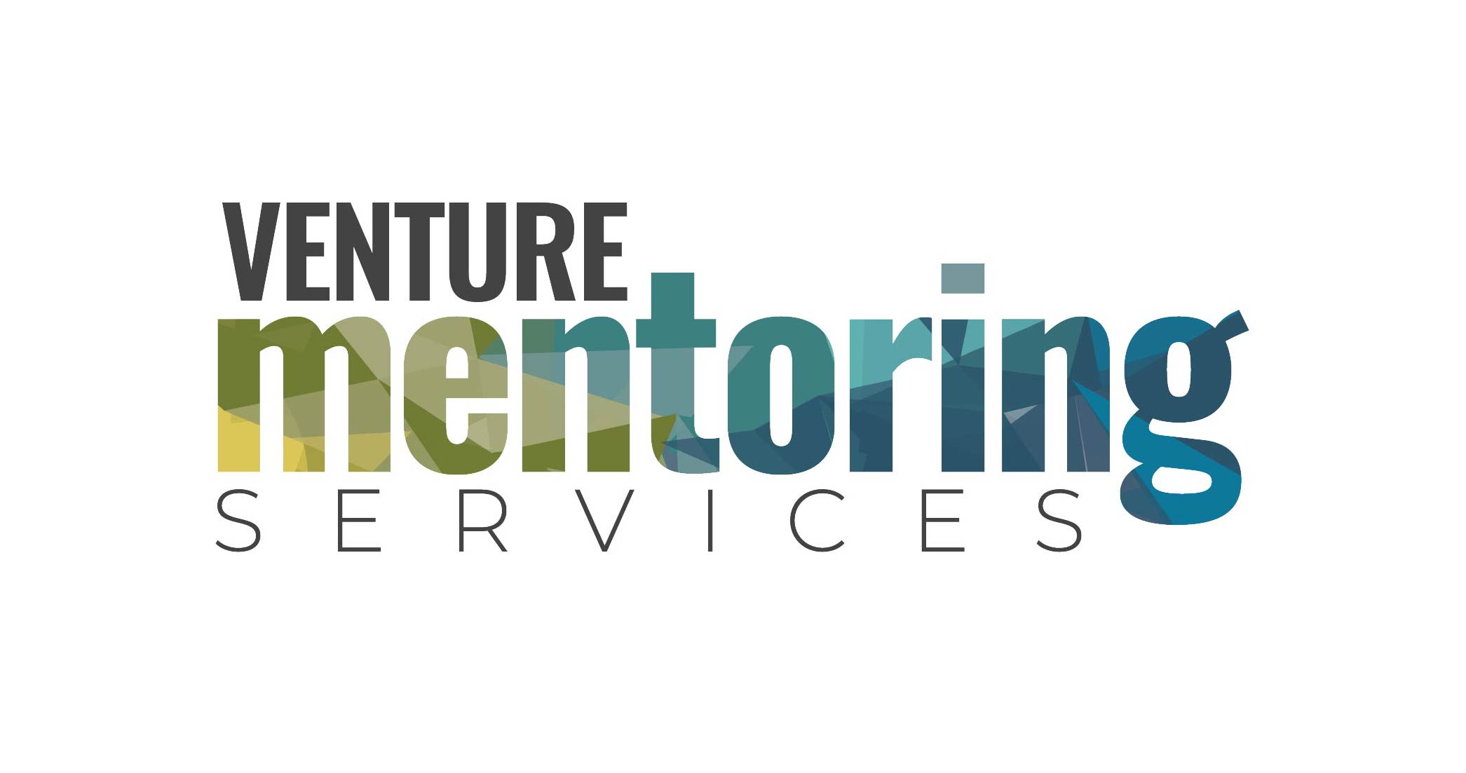 Venture Mentoring Services
